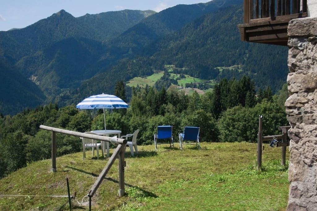 Casa Bernard Zortea Vanoi Cuore Verde Del Trentino كانالي سان بوفو المظهر الخارجي الصورة