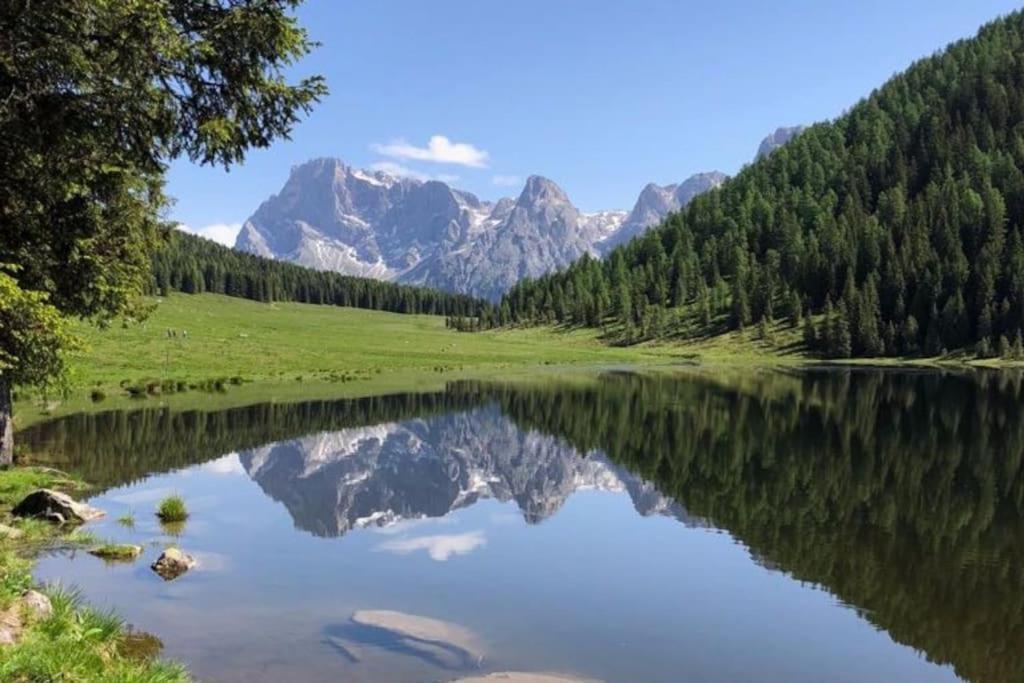 Casa Bernard Zortea Vanoi Cuore Verde Del Trentino كانالي سان بوفو المظهر الخارجي الصورة