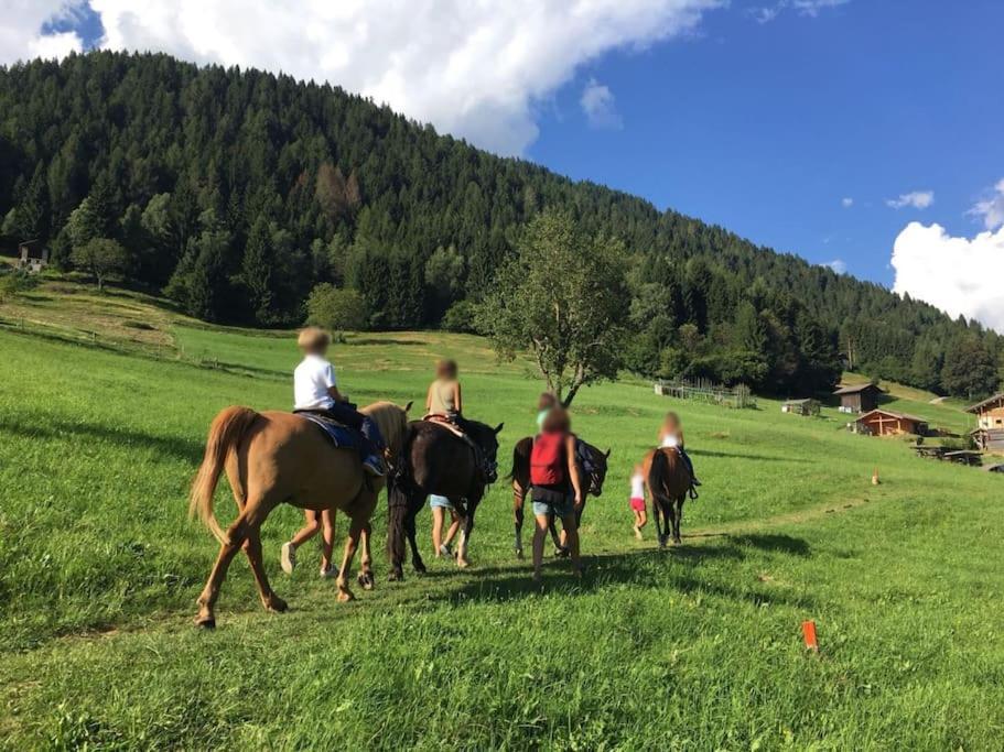 Casa Bernard Zortea Vanoi Cuore Verde Del Trentino كانالي سان بوفو المظهر الخارجي الصورة