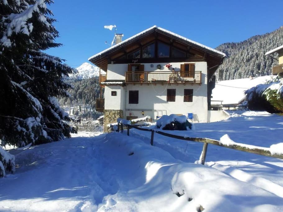 Casa Bernard Zortea Vanoi Cuore Verde Del Trentino كانالي سان بوفو المظهر الخارجي الصورة