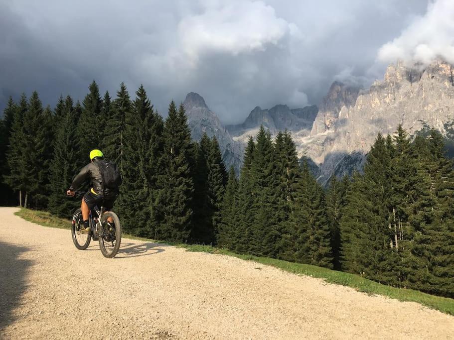 Casa Bernard Zortea Vanoi Cuore Verde Del Trentino كانالي سان بوفو المظهر الخارجي الصورة